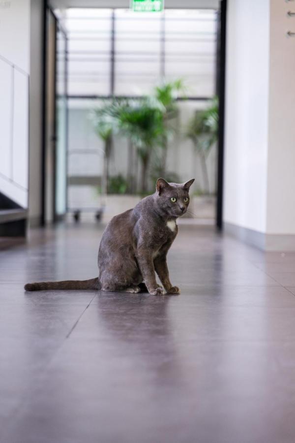 Hotel Por Thapae Gate Chiang Mai Zewnętrze zdjęcie